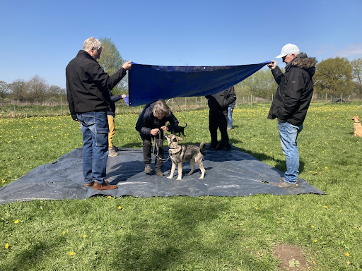 Hundeschule Revital Gallery - Germany