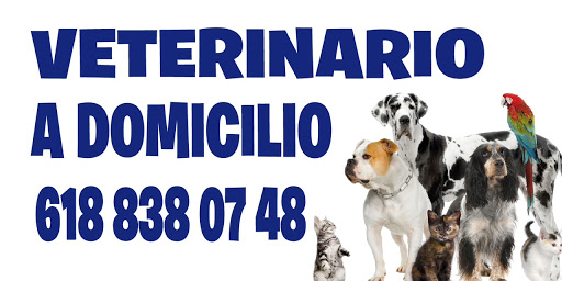 Veterinaria "Bubba"