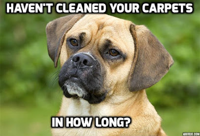 Mighty Clean LLC