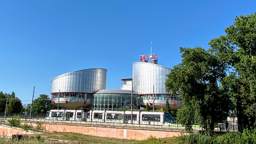 Kancelaria Praw Człowieka Agata Bzdyń Radczyni Prawna