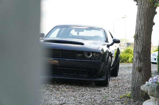 Dans Auto Detailing - Thumbnail