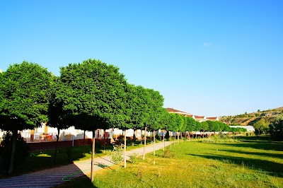 Badr FATHER AND BATH SPRINGS