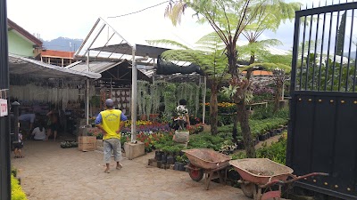 Photos of Flora Mitra Nusantara