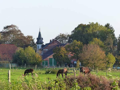 Biolandhof Brummer- Bange - Thumbnail