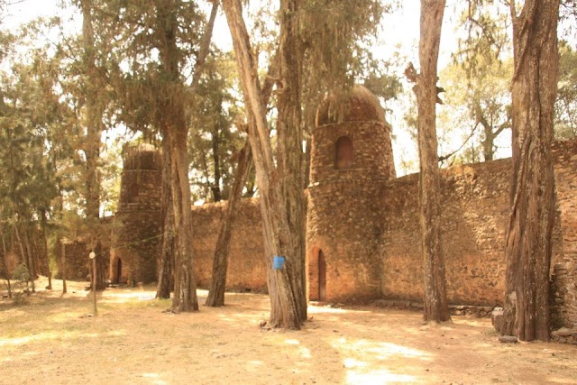 Gondar