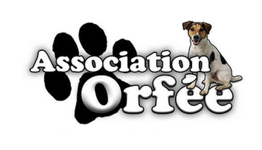 Association Orfée - Thumbnail