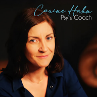 CARINE HAHN PSY & COACHING HYPNOSE 58 à Saint-Père