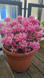 Photo n°7 de Massages et soins naturels méditation à Montblanc (Naturopathe)