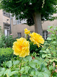 Photo n°8 de Grand Enclos à Effiat (Lodge)