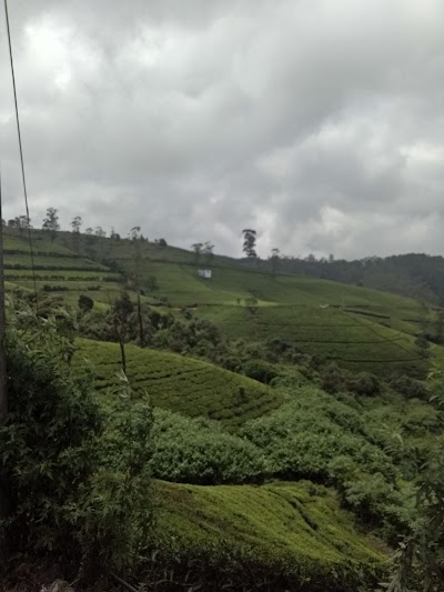 Photos of Sena Hotel