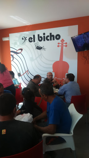 El Bicho Gallery - Spain