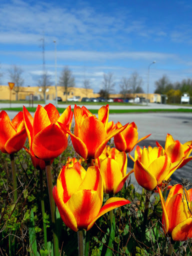 Nordic Wellness Hyllie Lindeborg