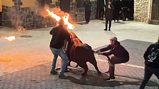 Fuente De La Plaza - Thumbnail