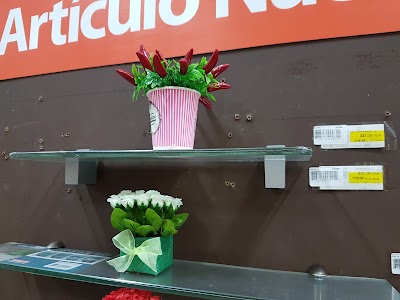 Photos of Ferreteria La Mundial