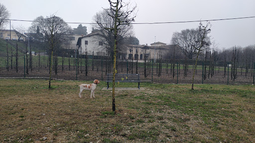 Dog Park Lonato del Garda
