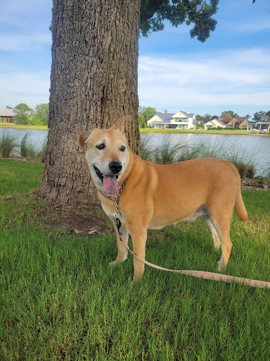 Wellborn Road Veterinary Medical Center - Thumbnail