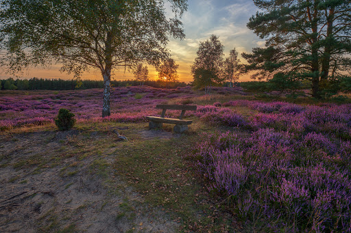Parkplatz Nemitzer Heide - Thumbnail