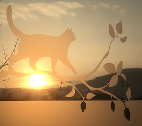 Photo n°17 de Clinique Vétérinaire du Chat Perché à Noidans-lès-Vesoul (Clinique vétérinaire)