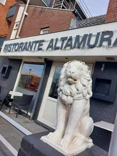 Altamura - Visual