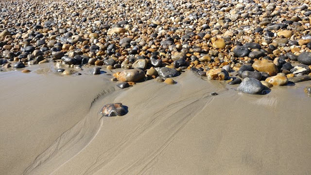 SEA LIFE Brighton