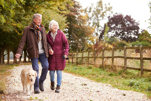 Cosmetic & General Dentistry