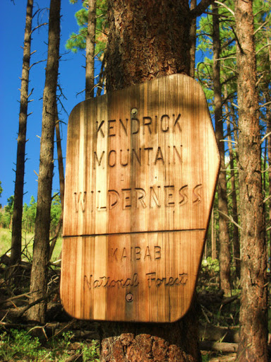 Kendrick Mountain Wilderness - Thumbnail