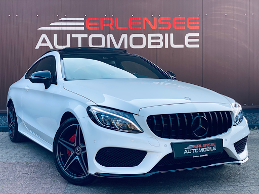 Erlensee Automobile - Thumbnail
