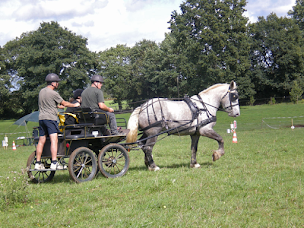 Photo n°3 de Du petit coin de Paradis - Ferme pédagogique à Saint-Georges-Buttavent (Éleveur)