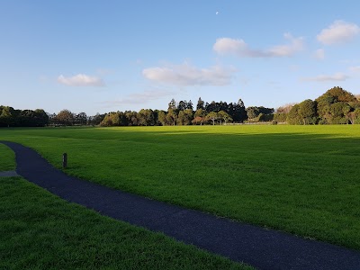 Photos of Harry James Taupaki Reserve