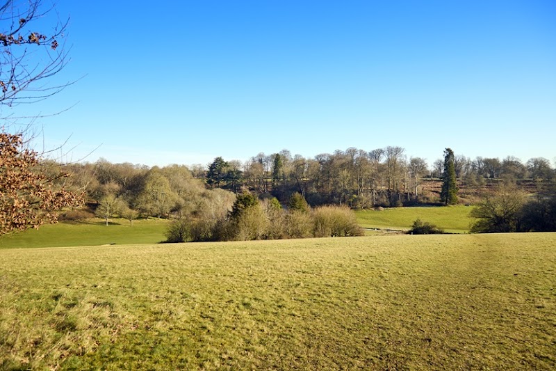 Barratt Homes - Chaulden Meadows photo 3