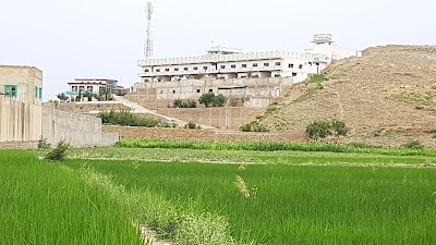 Zadran Market