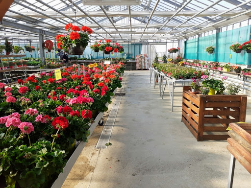 Photo de ADASMS (horaires du point de vente et de la grande serre)