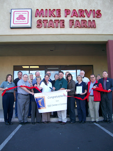 Mike Parvis - State Farm Insurance Agent Gallery - United States