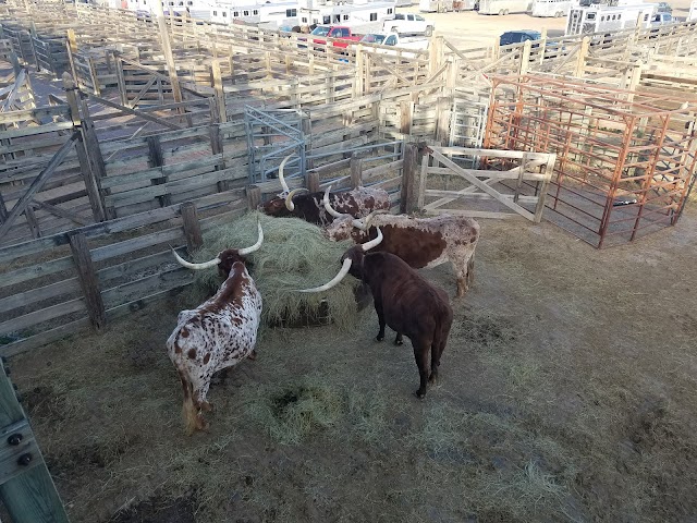 Fort Worth Stockyards Station