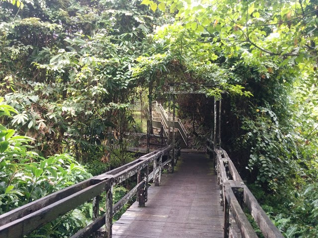 Bornean Sun Bear Conservation Centre (BSBCC)