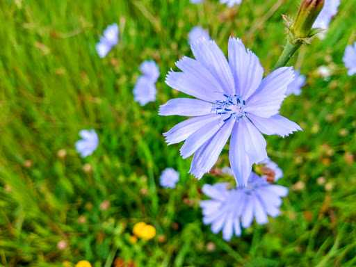 Parco Ivana Cagnin - Thumbnail