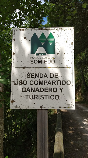 Senda Accesible - Thumbnail
