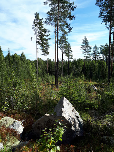 Kullgärdet Bjursås - Thumbnail