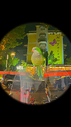 Nolo center - Visual