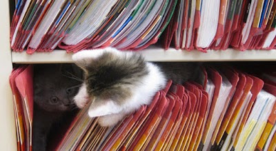 Photos of Brookschool Road Vet Clinic