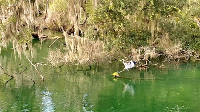 Blue Springs State Park Campground