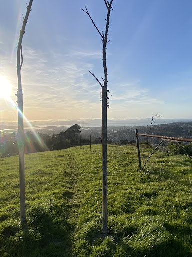Bonita Gate Trailhead (EBRPD) Logo