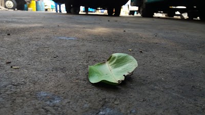 Photos of PT Hiba Utama