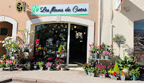 Les Fleurs de Cuers à Cuers