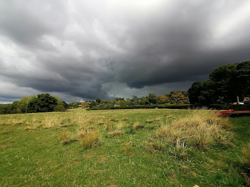 Barnsdale Wood Rutland Water - Thumbnail