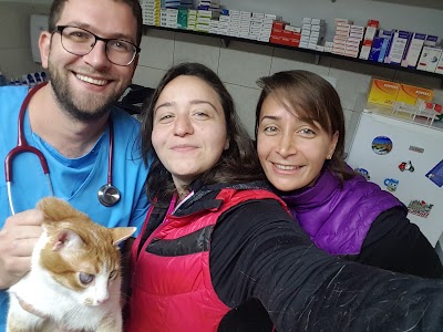 Photos of Animalife Veterinary Hospital