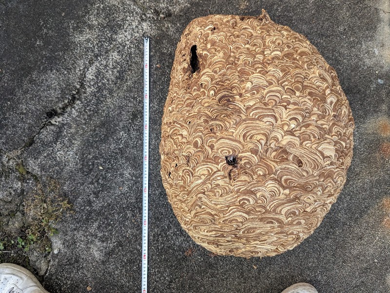 スズメバチ１１０番・南勢養蜂場 四日市受付所