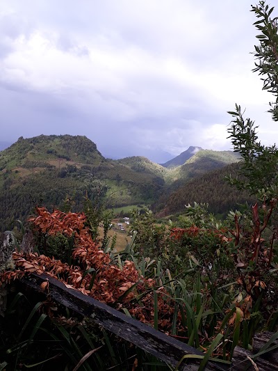 Photos of Hospedaje Casa Ranco