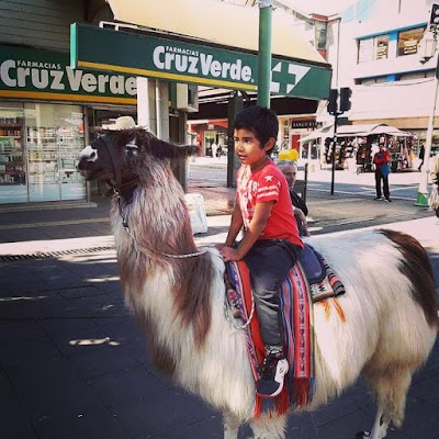 Photos of Abastible Andrade