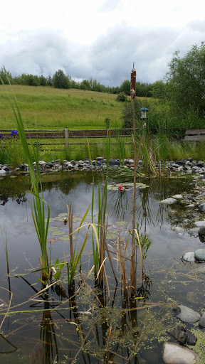 Washington State University Arboretum